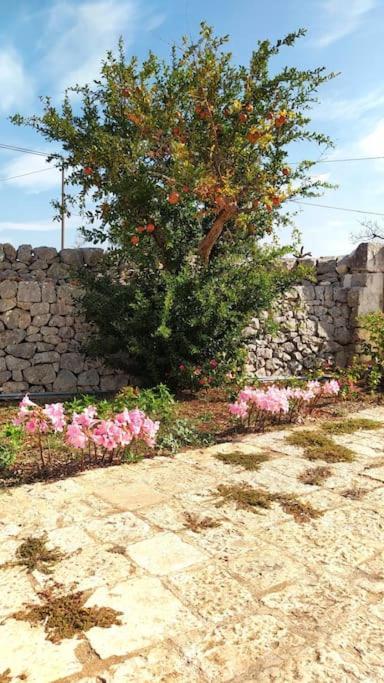 Trullo Mami Villa Putignano Eksteriør billede